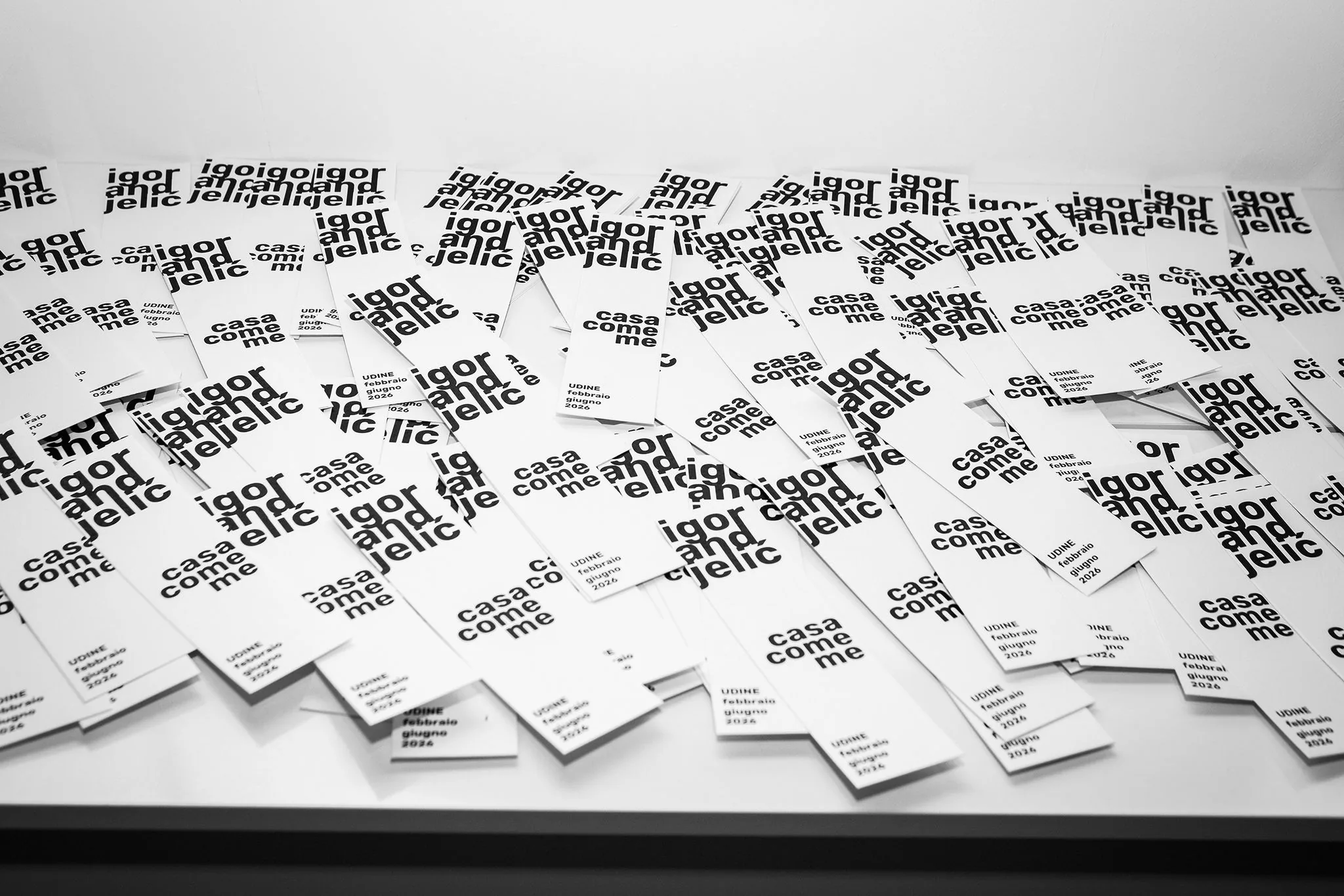 Casa Come Me, Igor Andjelić